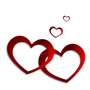 Bottom Right Decoration